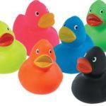 COLOR DUCKS