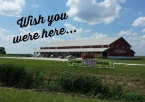 Dutch Country General Store - postcard (big)