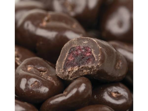 Dark Chocolate Dried Cranberries 1lb