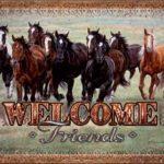 WELCOME FRIENDS- HORSES