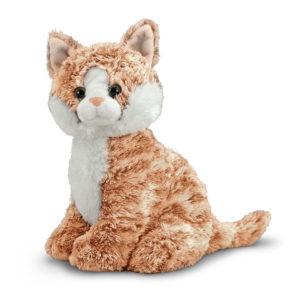 Pumpkin Tabby