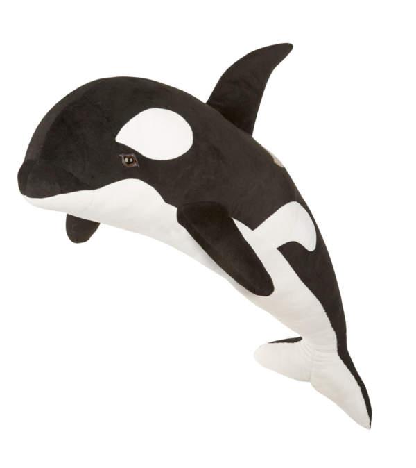 Orca