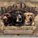 DOG DAY ACRES