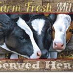 FARM FRESH MILK