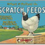 SCRATCH FEEDS