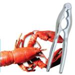 6523d_wlobsterw