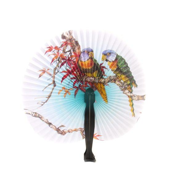 Paper Fans by House of Marbles