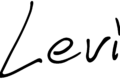 Levi's Signature