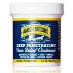 Amish Origins® Deep Penetrating Pain Relief Ointment 3.5oz