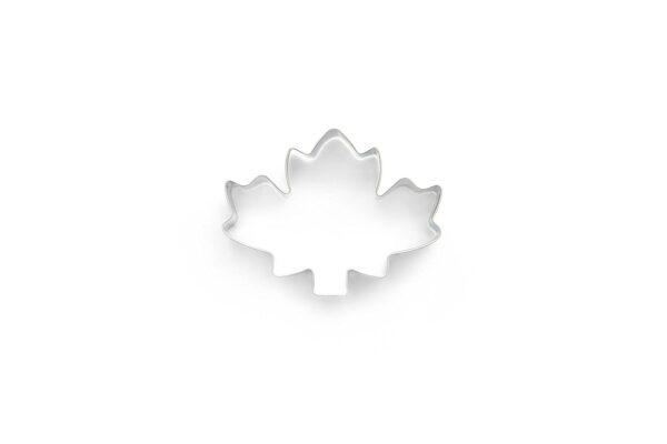 51beCrjKgQL._SL1500_