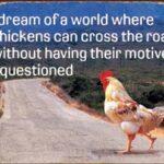 CHICKENS MOTIVES