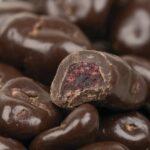 Dark Chocolate Dried Cranberries 1lb