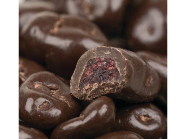 Dark Chocolate Dried Cranberries 1lb