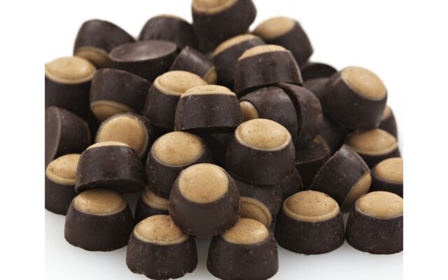 Mini Dark Chocolate Peanut Butter Buckeyes 1lb