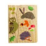 Woodland Mini Mag Notepads by House of Marbles