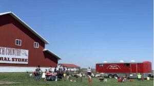 Levi's Crazy Days Petting Zoo