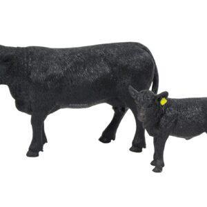 Angus Cow/Calf