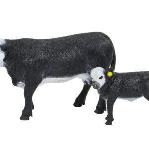 Black Baldy Cow/Calf