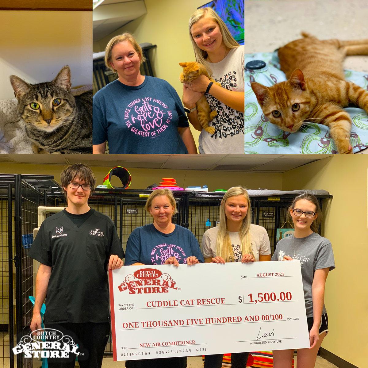 CuddleCatRescue2021