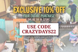 Crazy Days Banner