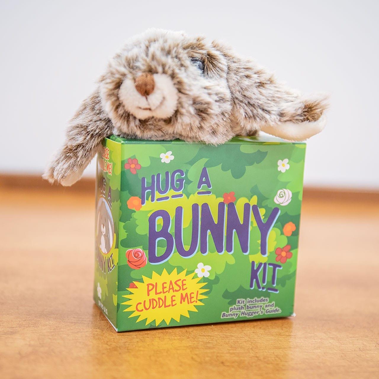 Hug A Bunny Kit