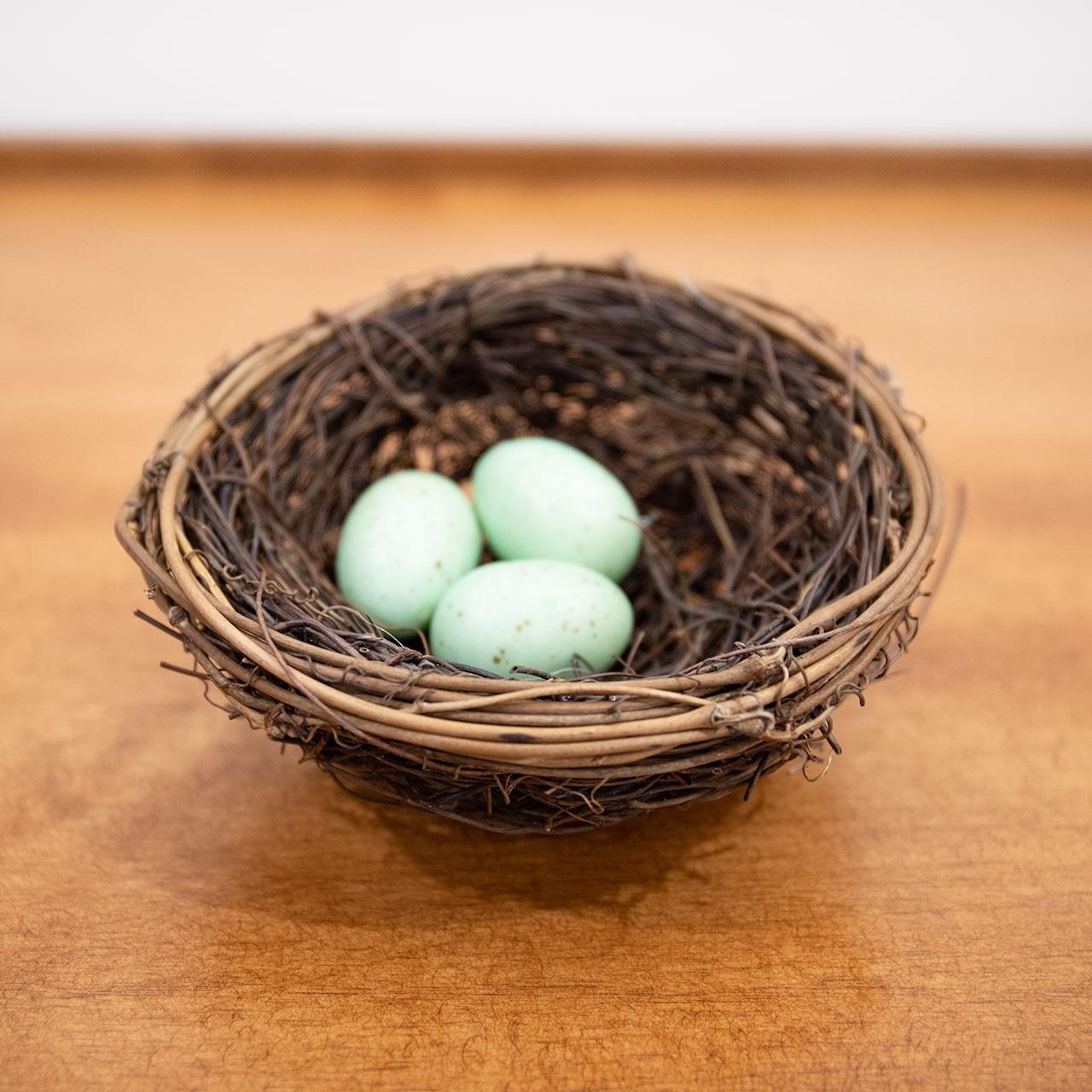 Twig & Vine Bird Nest w/Blue Eggs