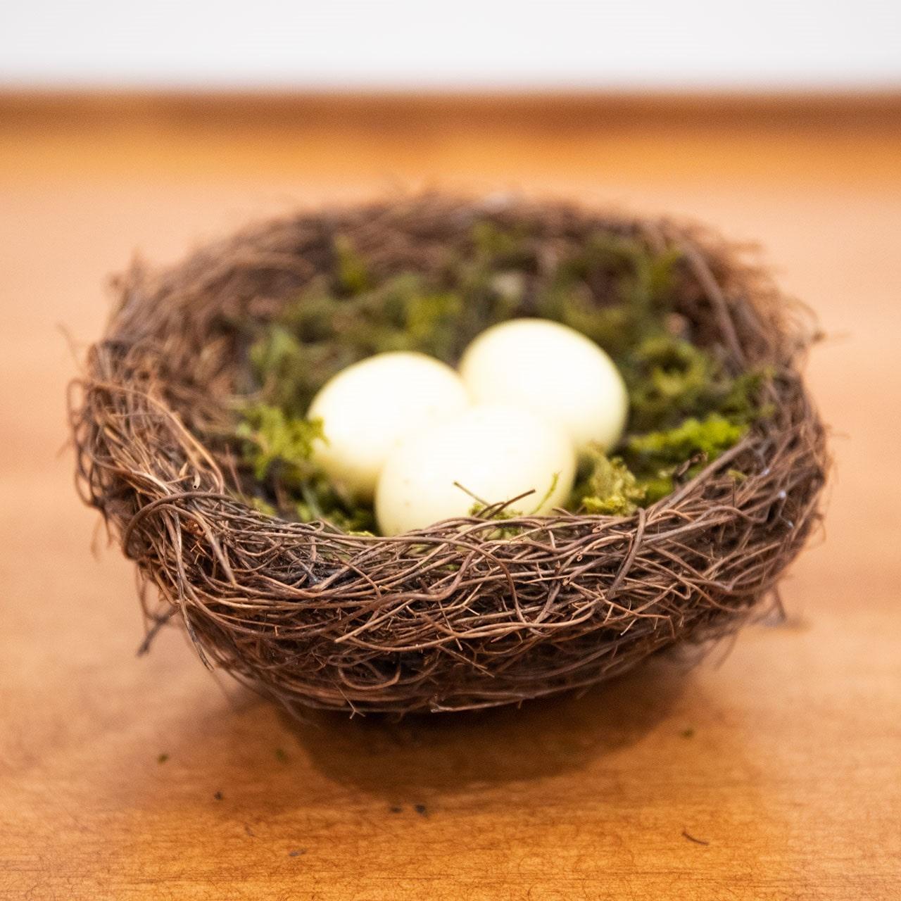 Vine & Moss Bird Nest w/Cream Eggs